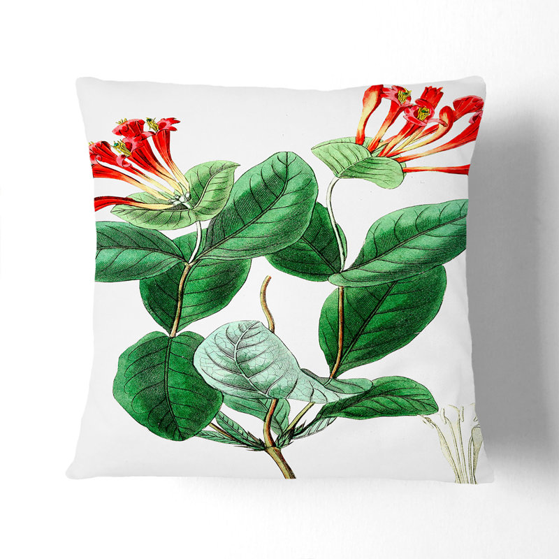 Square Throw Cushion, 40cm H x 40cm W x 15cm D, Black