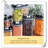 Dimitrina Food Storage Container