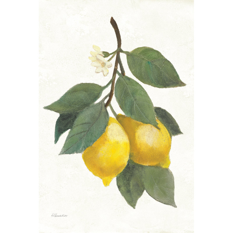 Lemon Branch II - Wrapped Canvas Print, 122cm H x 81cm W