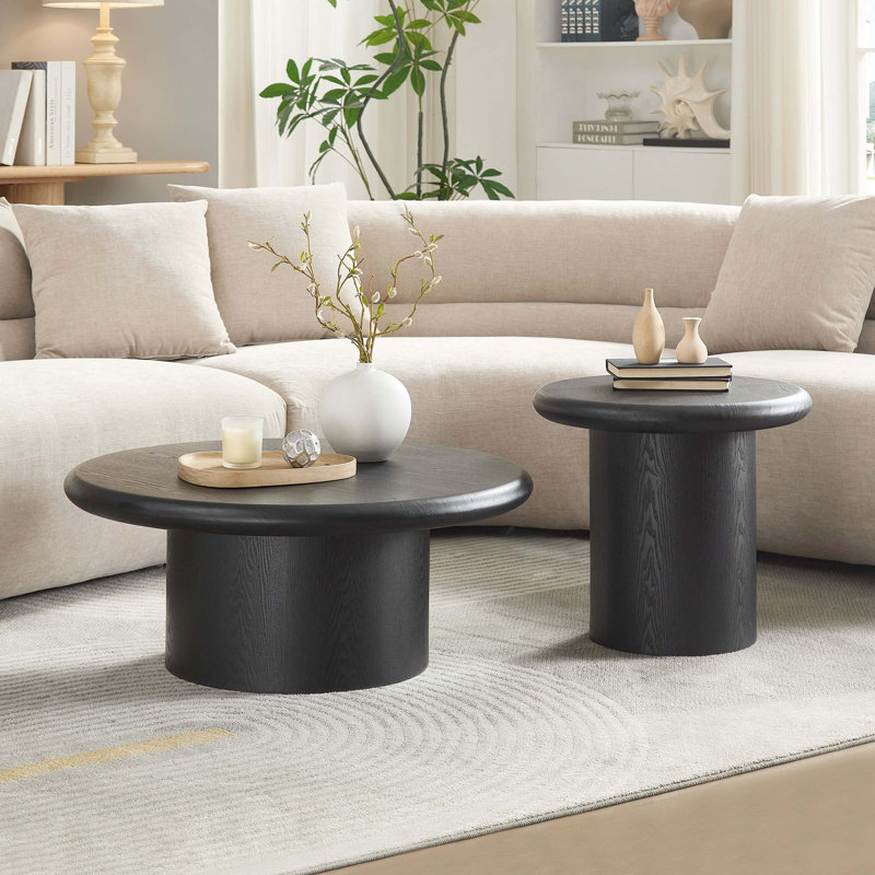 Ensemble de 2 tables basses rondes modernes pour le salon, assemblage facile, durable et élégant pour divers espaces, noir