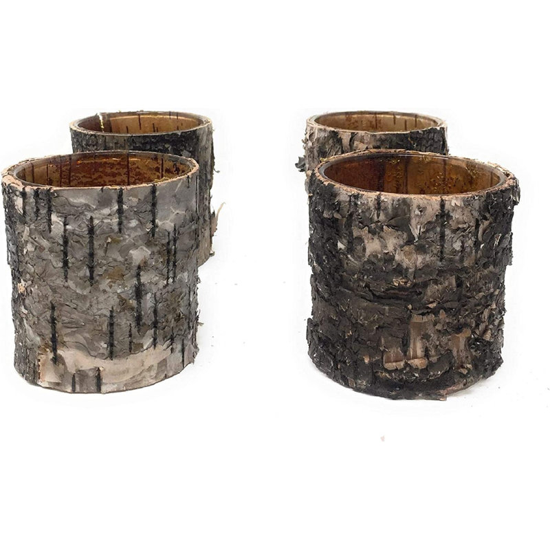 Coxwell Solid Wood Table Vase - Set of 4