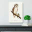 Delicate Owl by Charles DOrbigny - Wrapped Canvas-55342548