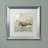 Jadaya " Sand Piper II " by Color Bakery-20093007-20093009