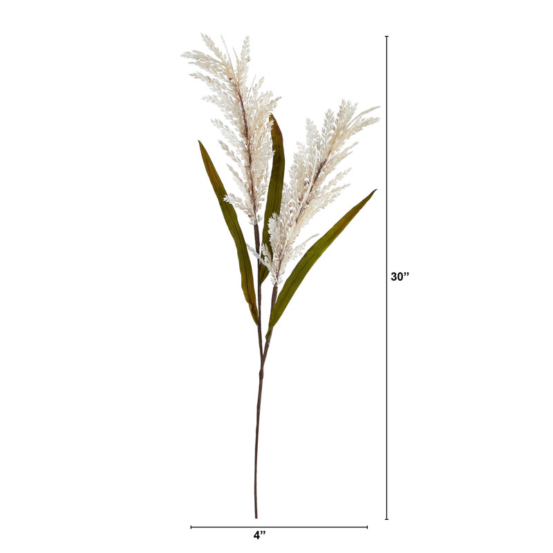 Sorghum Arrangement
