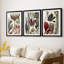 Coral & Seaweed Montage I - Impression sur mesure encadrée de qualité supérieure - 3 pièces-1156827205-1156827207