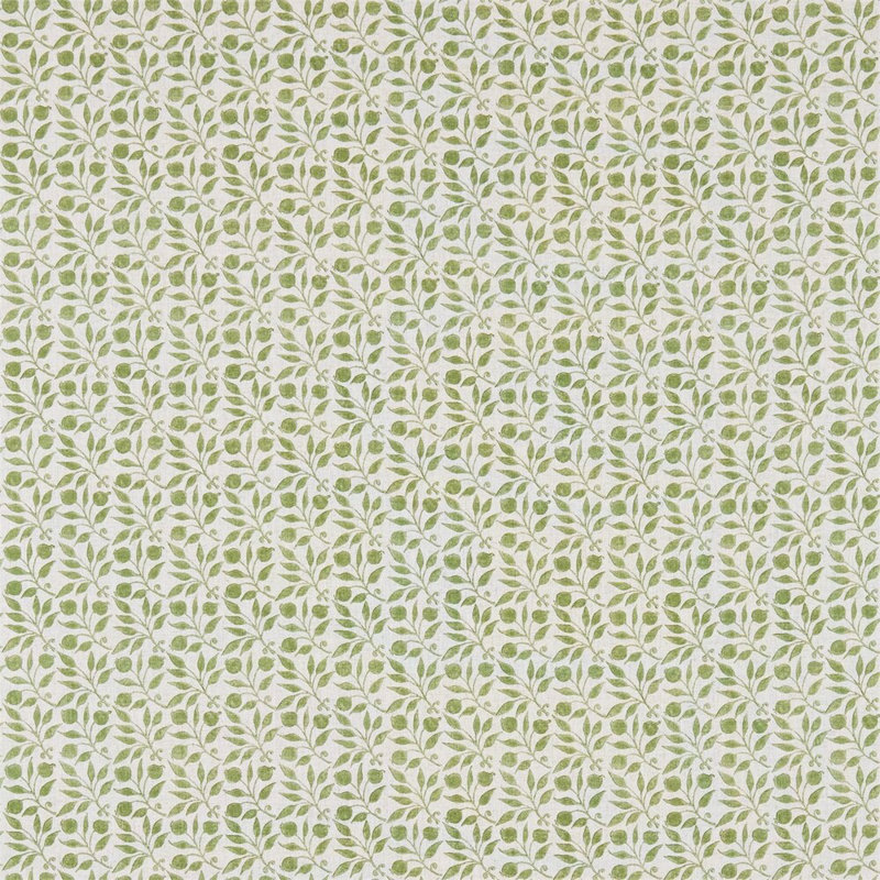 Rosehip Fabric, Thyme
