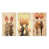 Toile tendue
