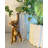 Ceramic Pot Planter-1639888143