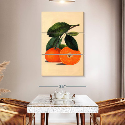 Yarlin Satsuma Orange 1887