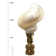 Seashell Lamp Finial