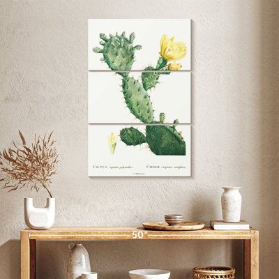 Harnek Aloe Opuntia Polyanthos Image From Histoire Des Plantes Grasses