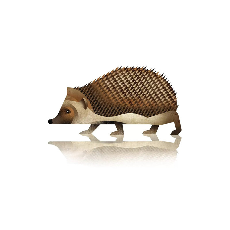 Hedgehog by Dieter Braun - Print on Canvas, Wrapped Canvas, 20.32 cm H x 30.48 cm W