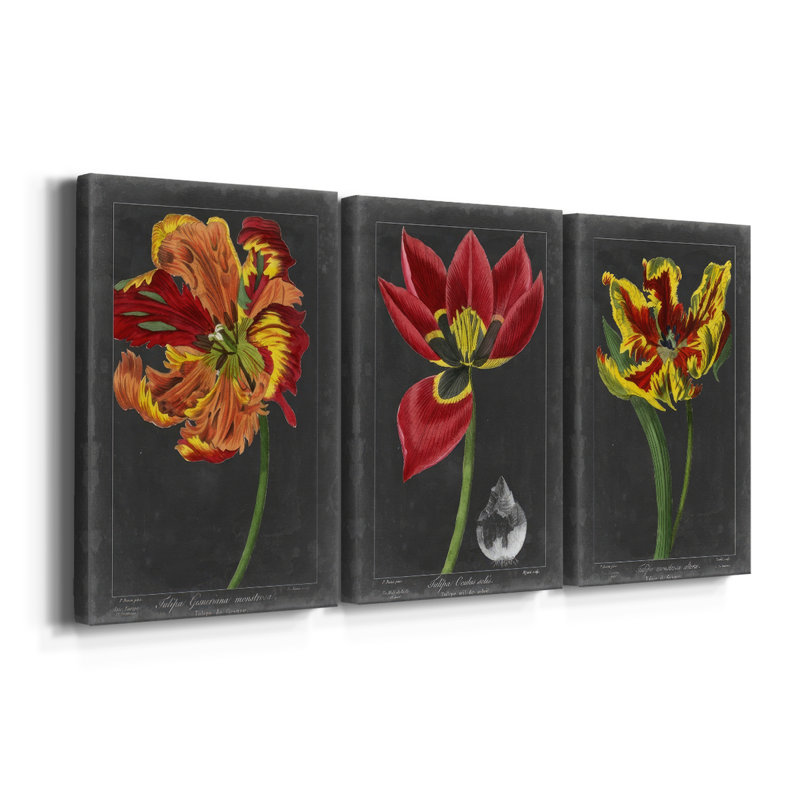 Midnight Tulip I - Toile tendue avec châssis sur mesure - 3 pièces, H 12 po x l 24 po