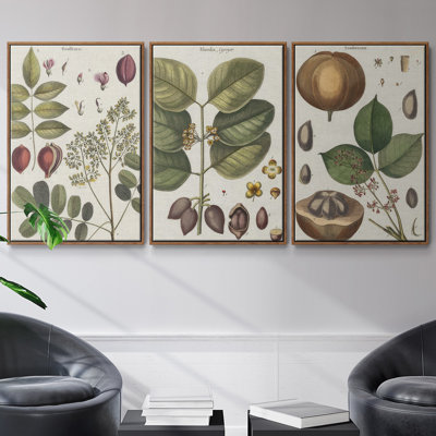 Ensemble de 3 cadres photo sur toile Antique Foliage and Fruit VI