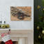 Scorpion Couple, Scorpion Couple, impression d'art mural-1075086126
