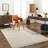 Indoor Rug-2096365475