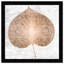 Cercis, feuille de cuivre rétro, arbre moderne Cercis bronze moderne - cadre photo, impression-72475901-72475906