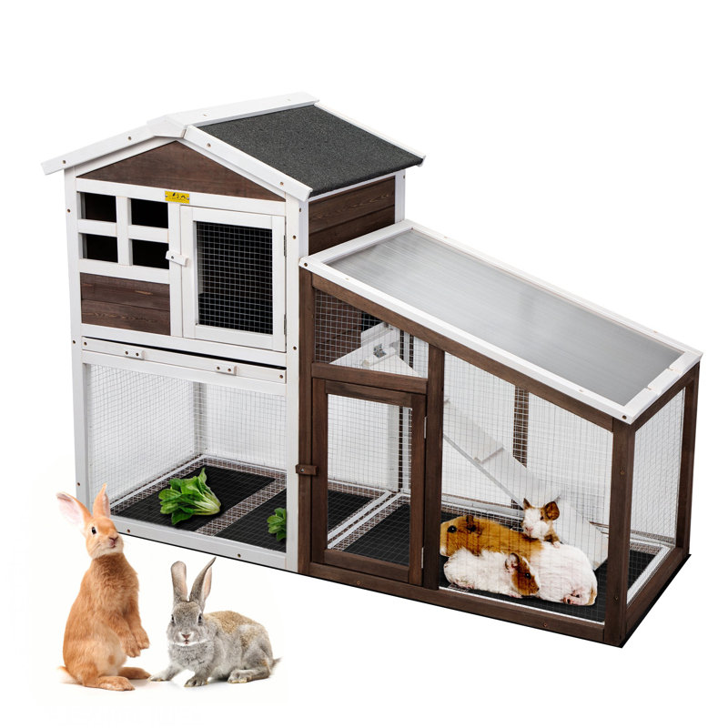 Bunny Hutch Wayfair Guinea Pig Cages Poultry Cage Purlove Pet