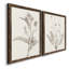 «Neutral Botanical Study VIIP», reproduction d'art encadrée - prête à être accrochée-558944164-559107755-559107760