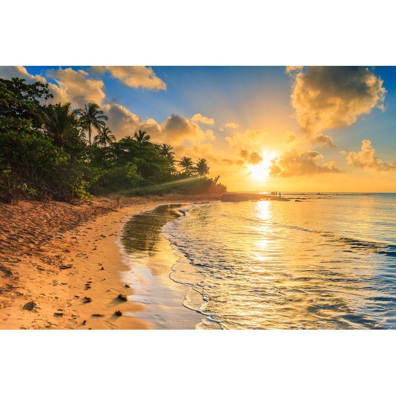 Brazilian Beach - Wrapped Canvas Print, 51cm H x 76cm W x 3.8cm D