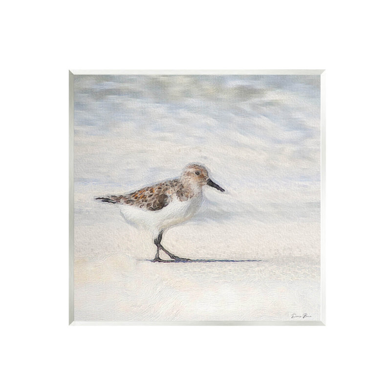 «Sandpiper Bird», plage de sable par Denise Brown
