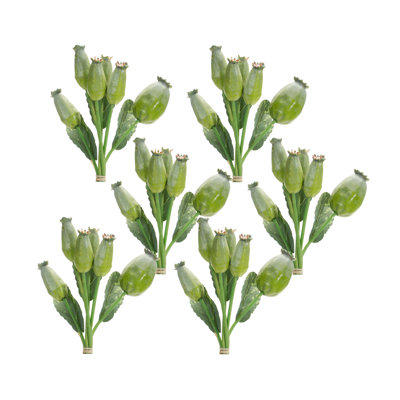 Poppy Steam