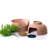 Lipton Covered Hidden Cat Litter Box with Decorative Planter