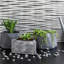 Panneau mural en vinyle 18,5 po x 24,3 po Wildhat