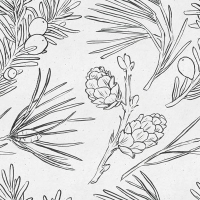 Grey Needles Wallpaper Floral Tile