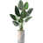 Marble Pattern 35