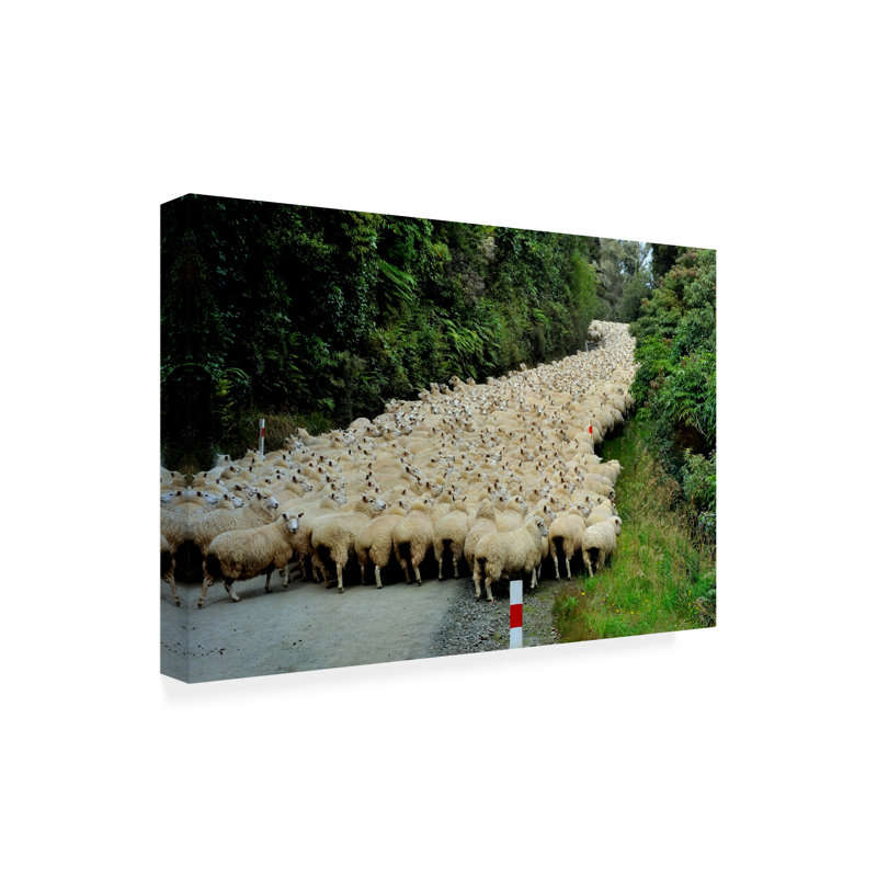 Art sur toile «Rhin Yair Turur», H 22 po x l 32 po
