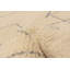 Tapis crème Pak Finest Marrakesh 7 pi 0 po x 10 pi 5 po