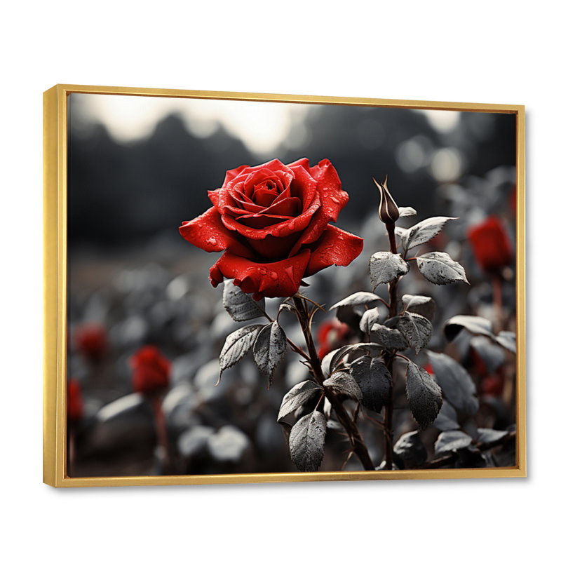 «Red Rose Over Greyscale», reproduction d'art sur toile, 16" H x 32" W, Cadre flottant doré