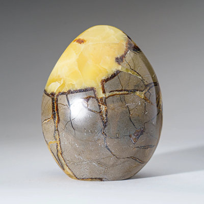 Polished Septarian Freeform From Madagascar (2.6 Lbs)