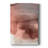 " Red Ochre Abstract II "-1370639239