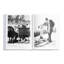 Graphic Image The Ultimate Ski Book, Coffee Table Book, Leather, Ivory