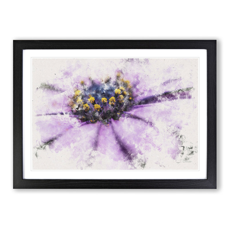 Pollen of a Purple Gerbera Flower - Picture Frame Graphic Art Print, 24cm H x 33cm W x 2cm D, Black Framed
