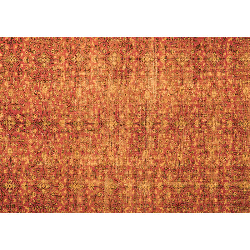 Chalena Oriental Indoor Rug, Rectangle 2' x 4'