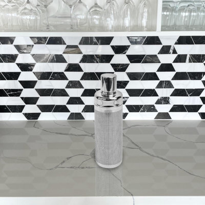 Shaker en acier inoxydable Bridin