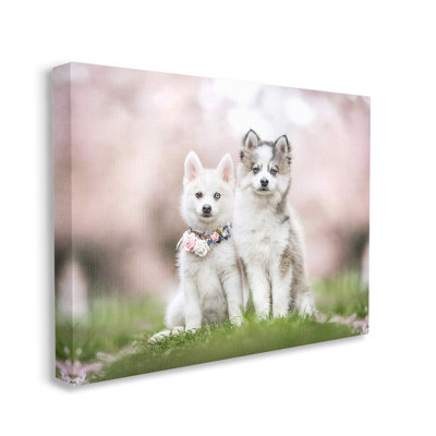 " Husky Puppies In Meadow " by Natalie Grosse
