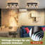 Correena Glass Spotlight-651287138