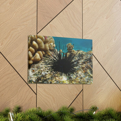Wall Art on Canvas