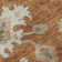 Premium Machine Washable Prisco Paprika Rug