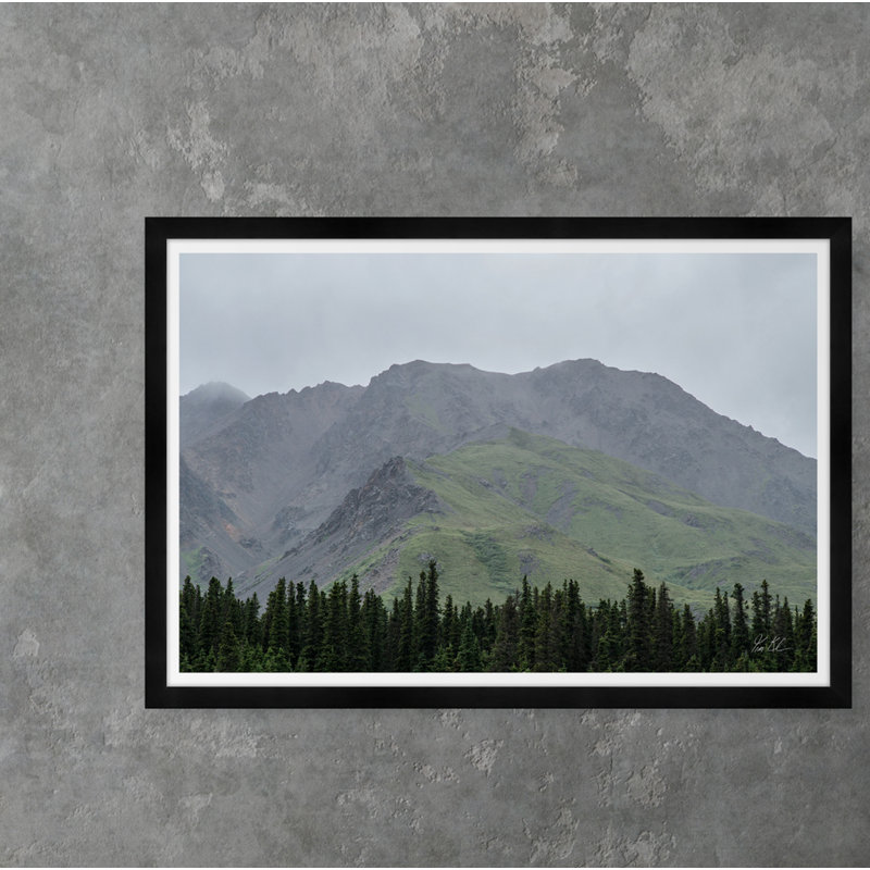 Tree Line Color Shift - photographie avec cadre photo
