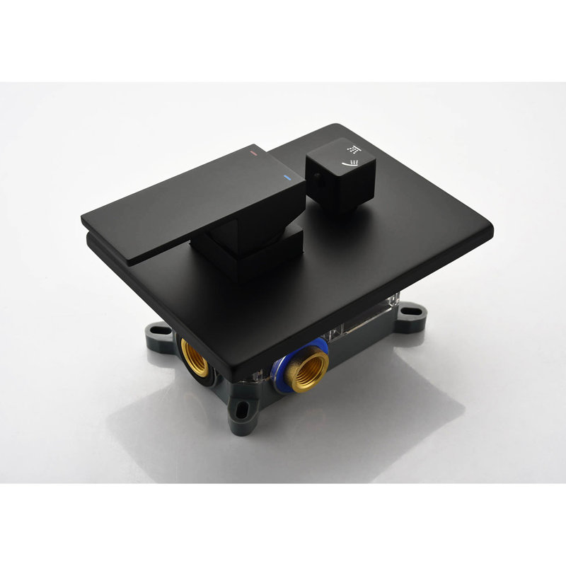 Douche de 12 po - Douche facile à nettoyer et installation au plafond noir mat, laiton et Sus304, profitez de l'expérience