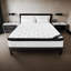 Oasis Sleep 12" Perfection Cool Sleep Hybrid Mattress, Firm Memory Foam and Innerspring Support-87326802
