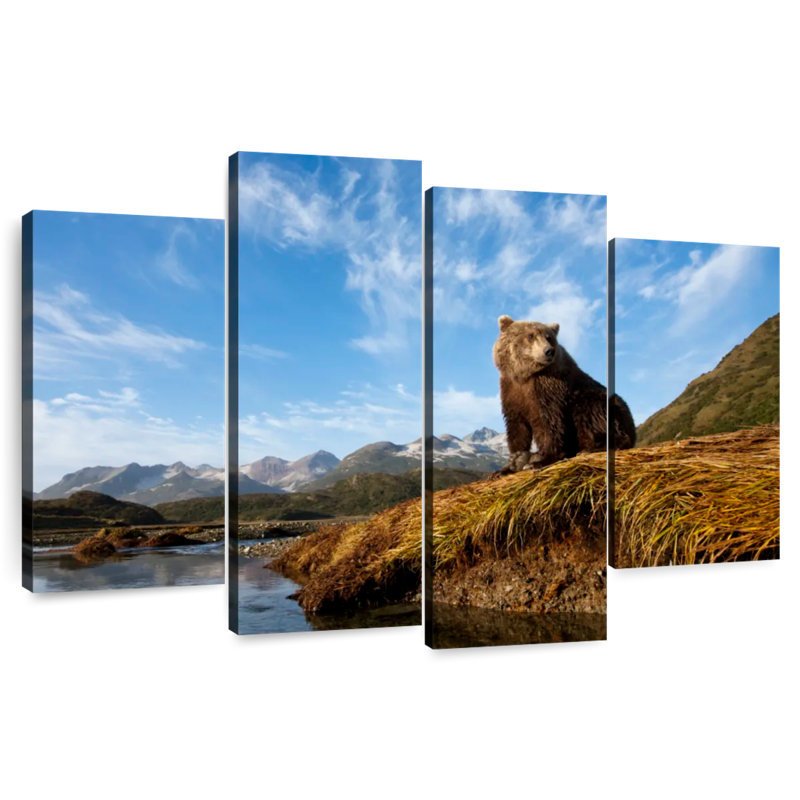 Ours brun dans le parc national de Katmai