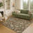 Machine Washable Indoor/Outdoor Chantille ACN2473 Global Rug-769965594-769965593