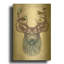 " Magic Buck " by Rachel Caldwell-1606673994