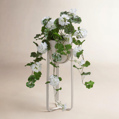 Earle UV Resistant Geranium Hanging Plant